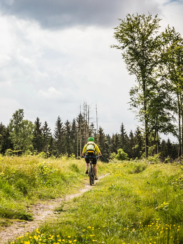 Radfahrer fährt durch eine grüne Waldlandschaft