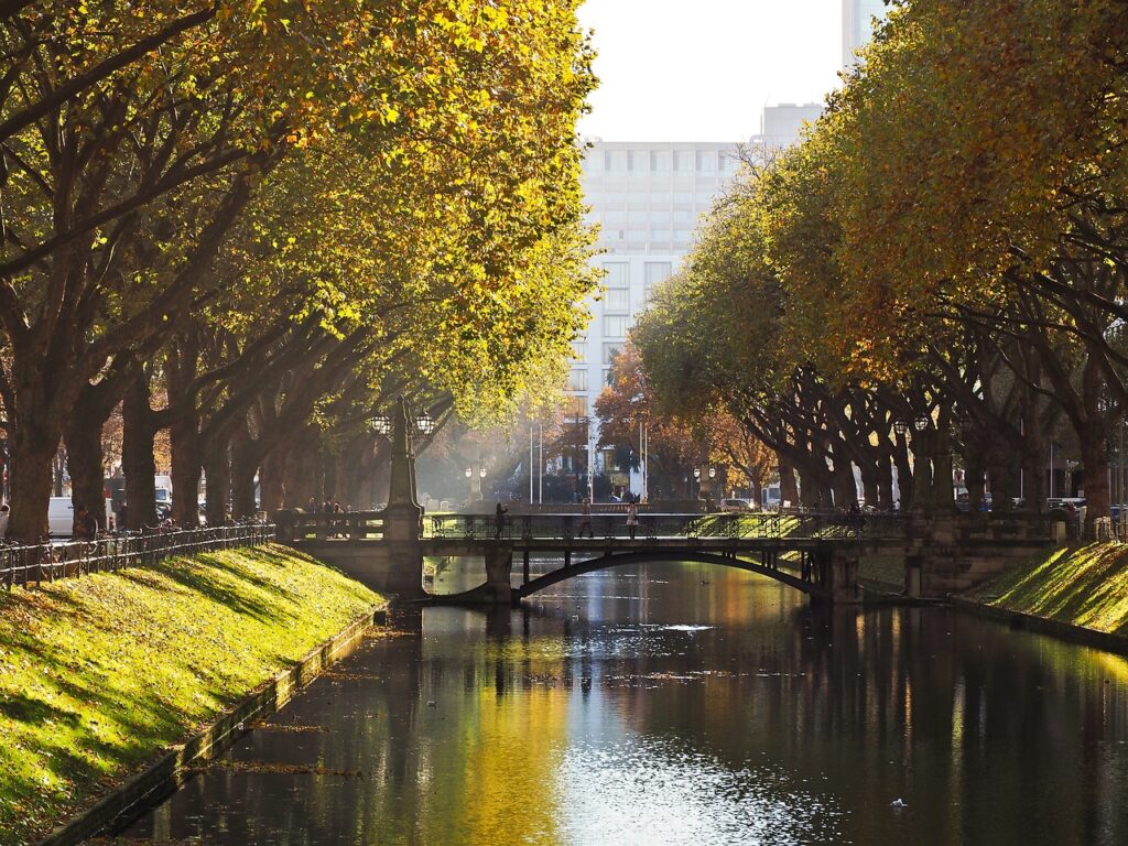 Herbstliche Baumallee entlang eines Kanals mit Brücke.